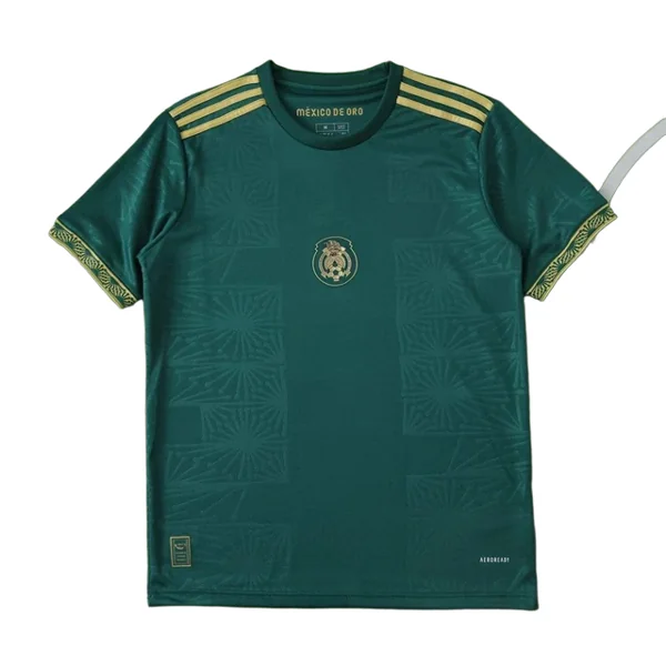 2526 season Mexico Concept version Fan version