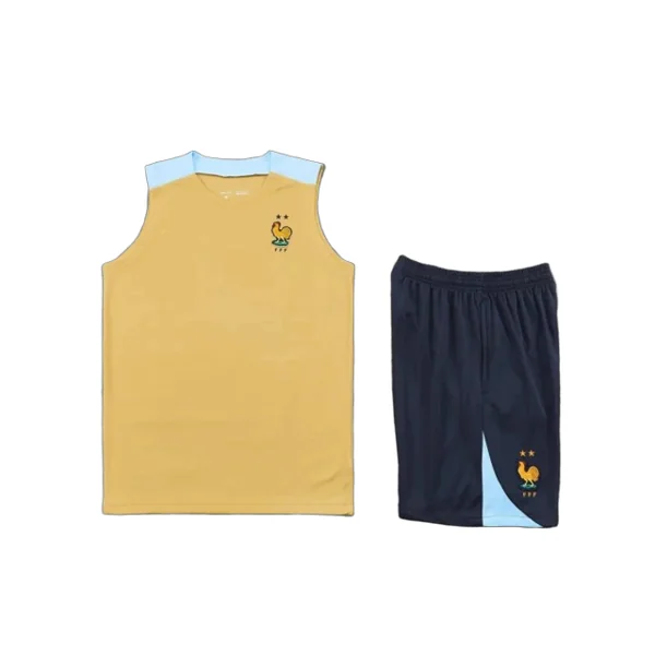 2425 France Training clothes suit vest Fan version