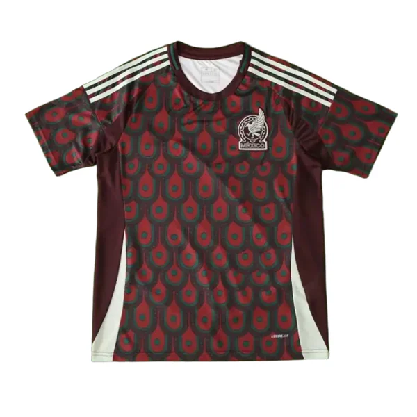 2024 season Mexico home Fan version