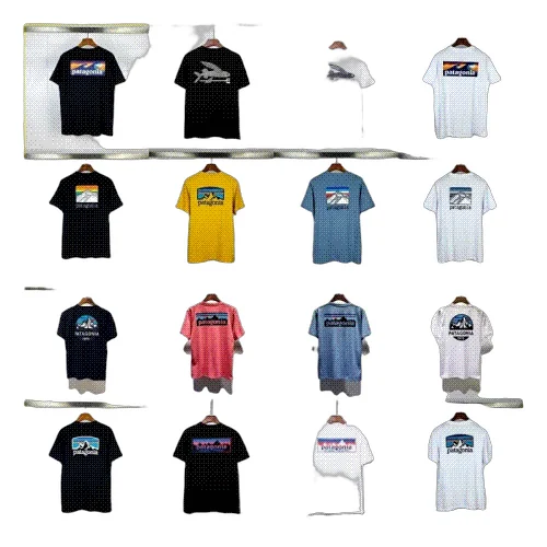 Patagonia Tee