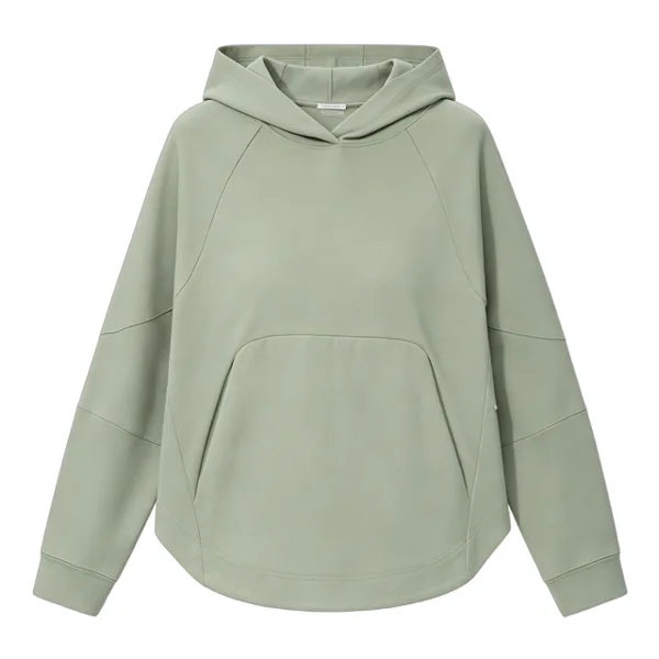 Alo Hoodie