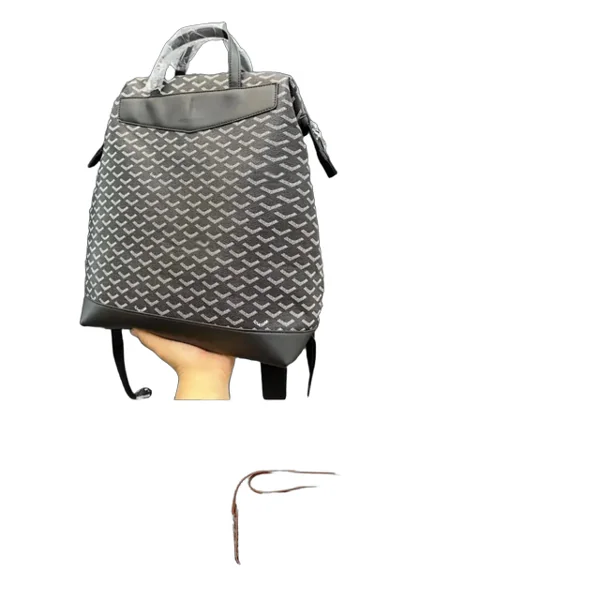Goyard bag